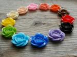 13 Bloemen Eur4,50